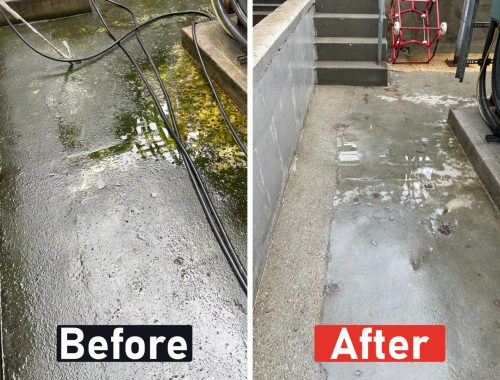 Before and after high pressure jetting of an algae-covered concrete floor